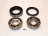 ASHIKA 44-16002 Wheel Bearing Kit